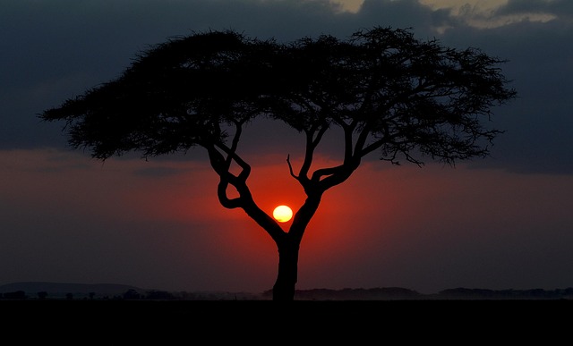 Kenya's eTA: Who Needs One, Who Travels Exempt, and How Long It Takes
