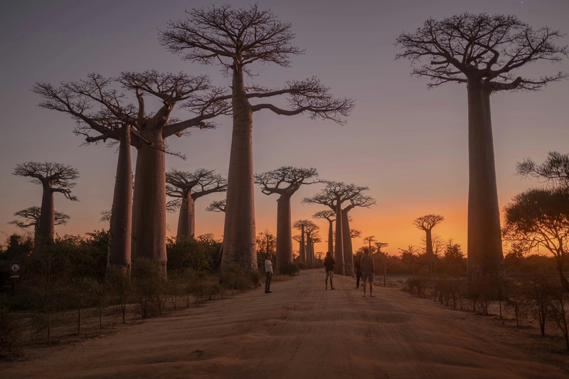 Madagascar